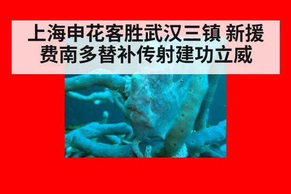 上海申花客胜武汉三镇 新援费南多替补传射建功立威